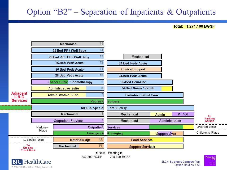 slch-option-section.